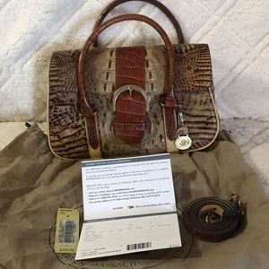 Brahmin-Torrey Tricolor